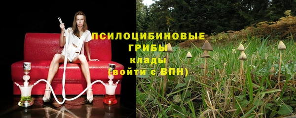 дмт Алексеевка