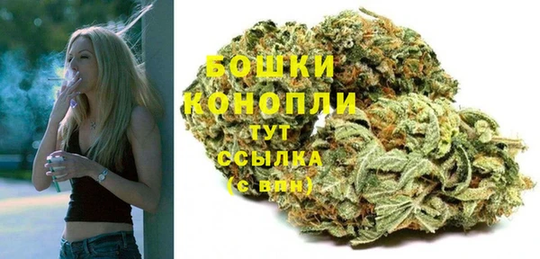 PSILOCYBIN Михайлов
