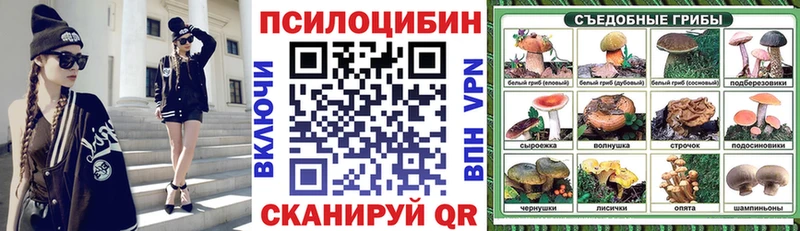 hydra как войти  купить   Красногорск  Галлюциногенные грибы мицелий 