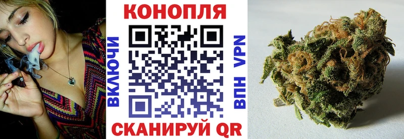 Шишки марихуана Amnesia  где купить   omg зеркало  Красногорск 
